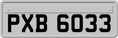 PXB6033