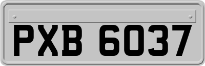 PXB6037