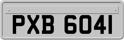 PXB6041