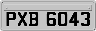 PXB6043