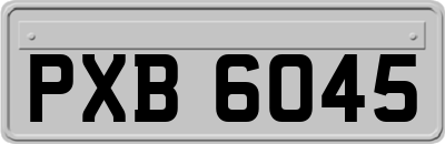 PXB6045