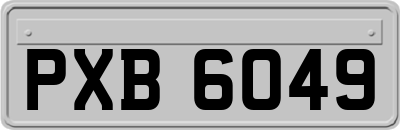 PXB6049