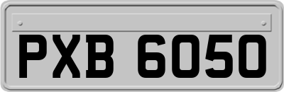 PXB6050