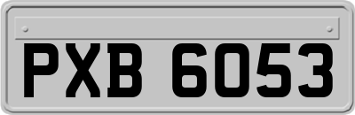 PXB6053