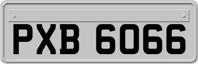 PXB6066