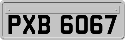 PXB6067