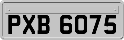 PXB6075