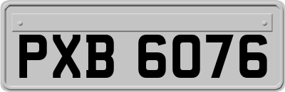 PXB6076