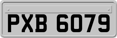 PXB6079