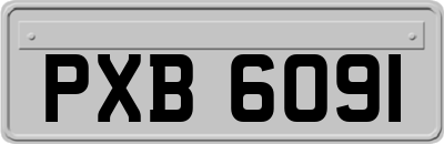 PXB6091