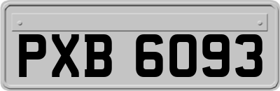 PXB6093