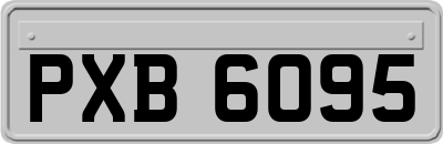 PXB6095