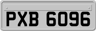 PXB6096