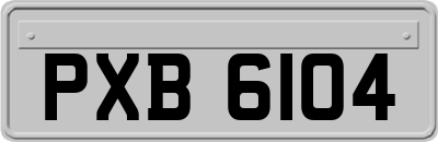 PXB6104