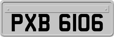 PXB6106