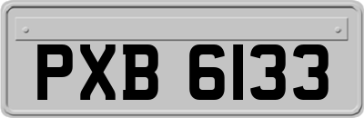 PXB6133