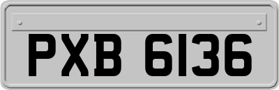 PXB6136