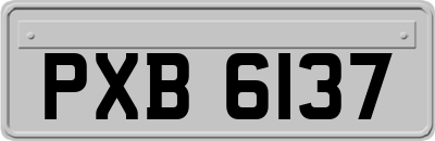 PXB6137