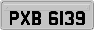 PXB6139