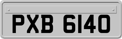 PXB6140