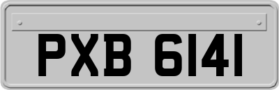 PXB6141