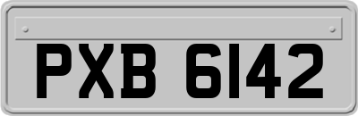 PXB6142