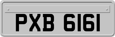 PXB6161