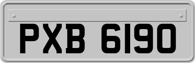 PXB6190