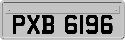 PXB6196