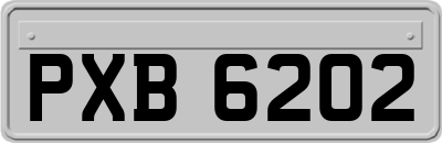 PXB6202