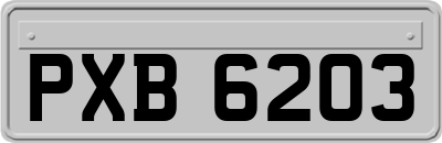 PXB6203