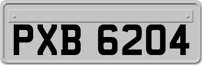 PXB6204