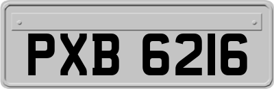 PXB6216