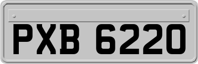 PXB6220