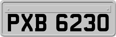 PXB6230