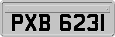 PXB6231