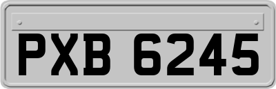 PXB6245