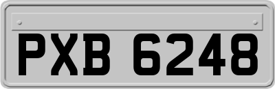 PXB6248