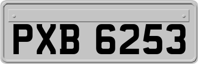 PXB6253