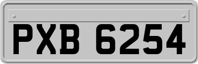 PXB6254