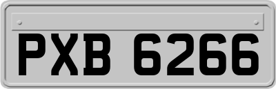 PXB6266