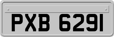 PXB6291