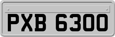 PXB6300