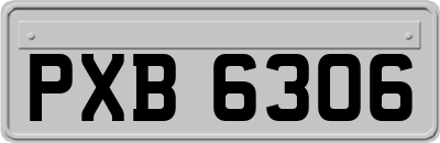 PXB6306