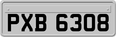 PXB6308