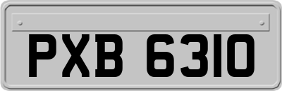 PXB6310