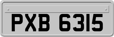 PXB6315