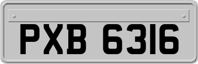 PXB6316