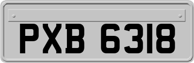 PXB6318