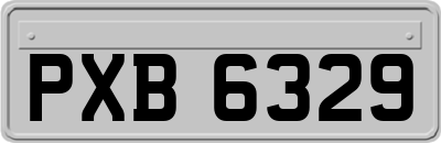 PXB6329